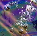 Oil & Water