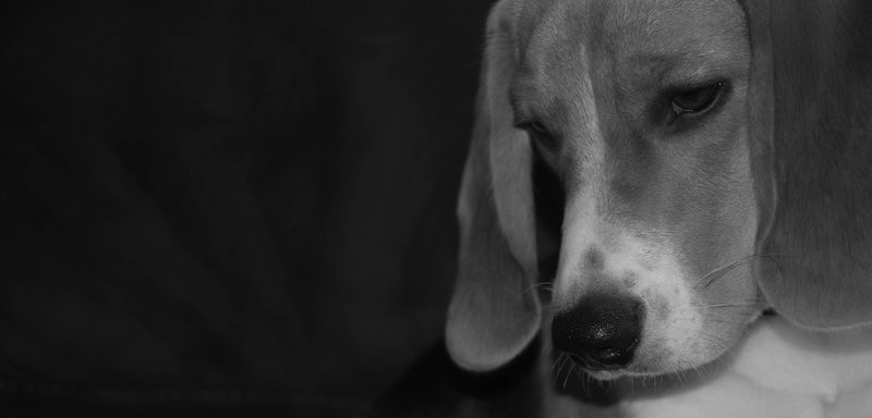 Sadness