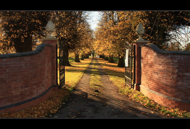 The gate