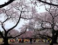 Tokyo, Japan