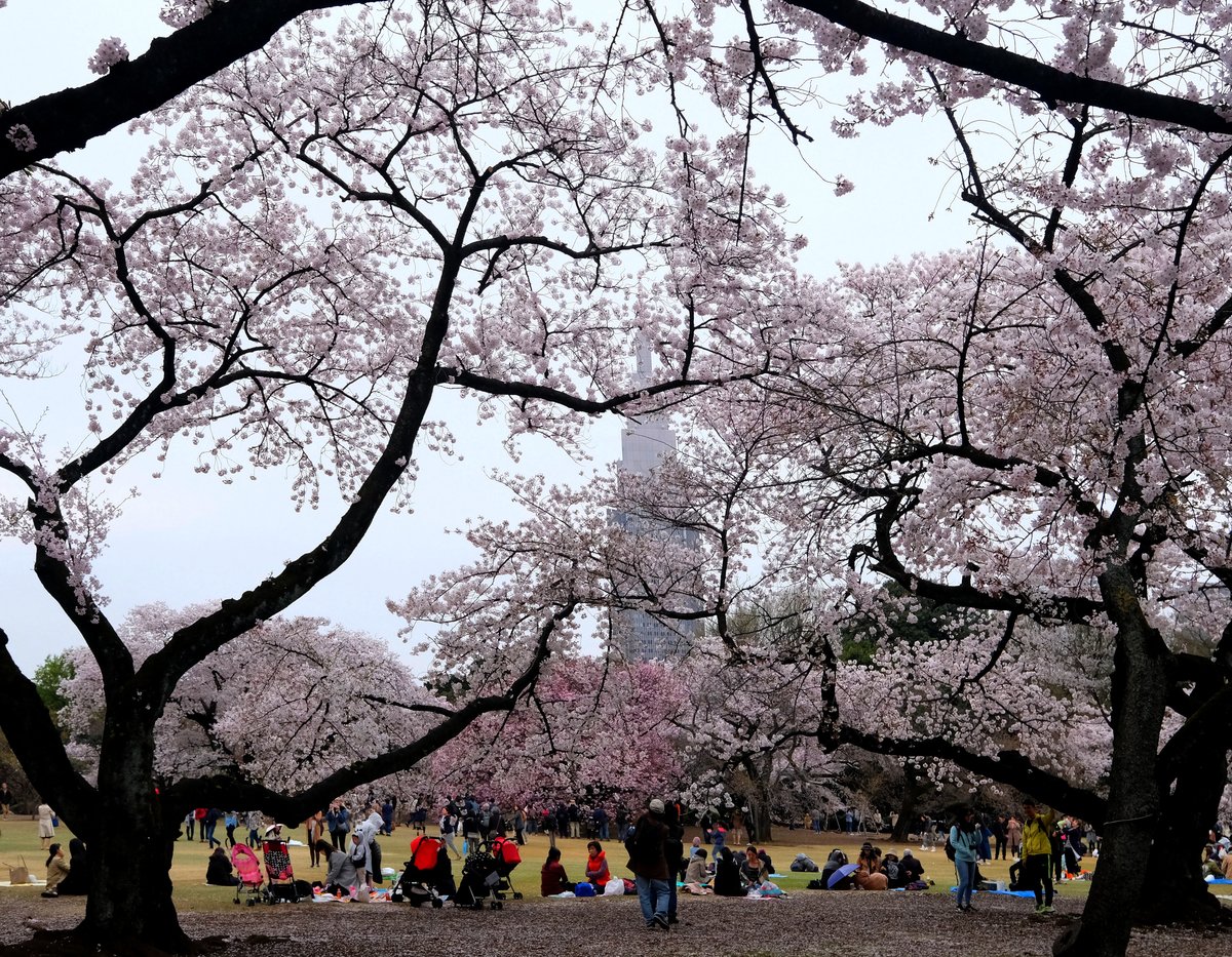 Tokyo, Japan