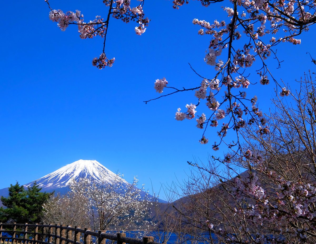 mount  Fuji