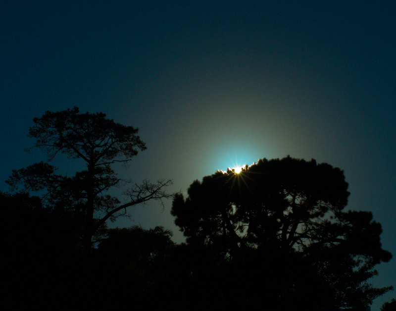 sunrise