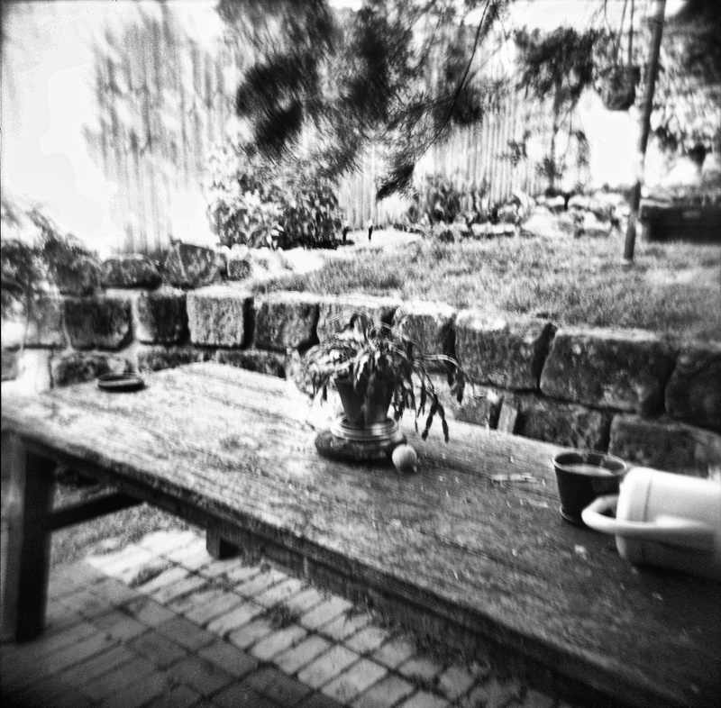 not still life