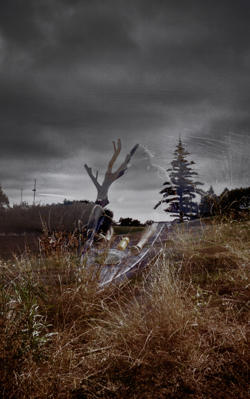 rushes