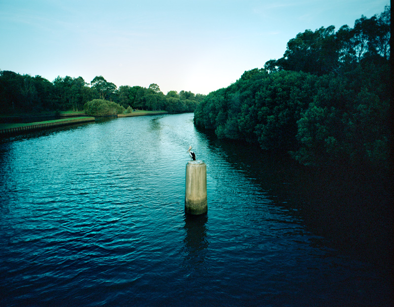 Cooks River Sydney