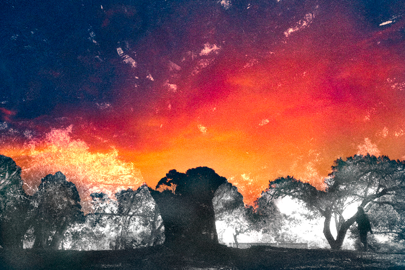 beginnings and endings