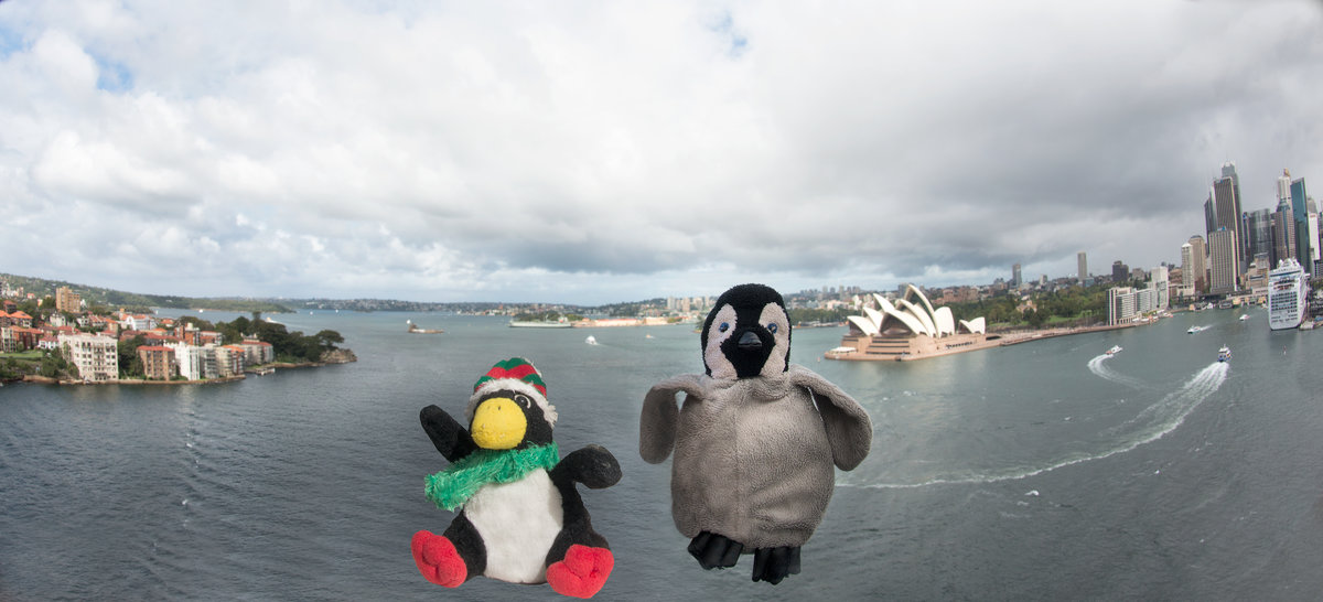 Lost & Found above  Sydney Harbour