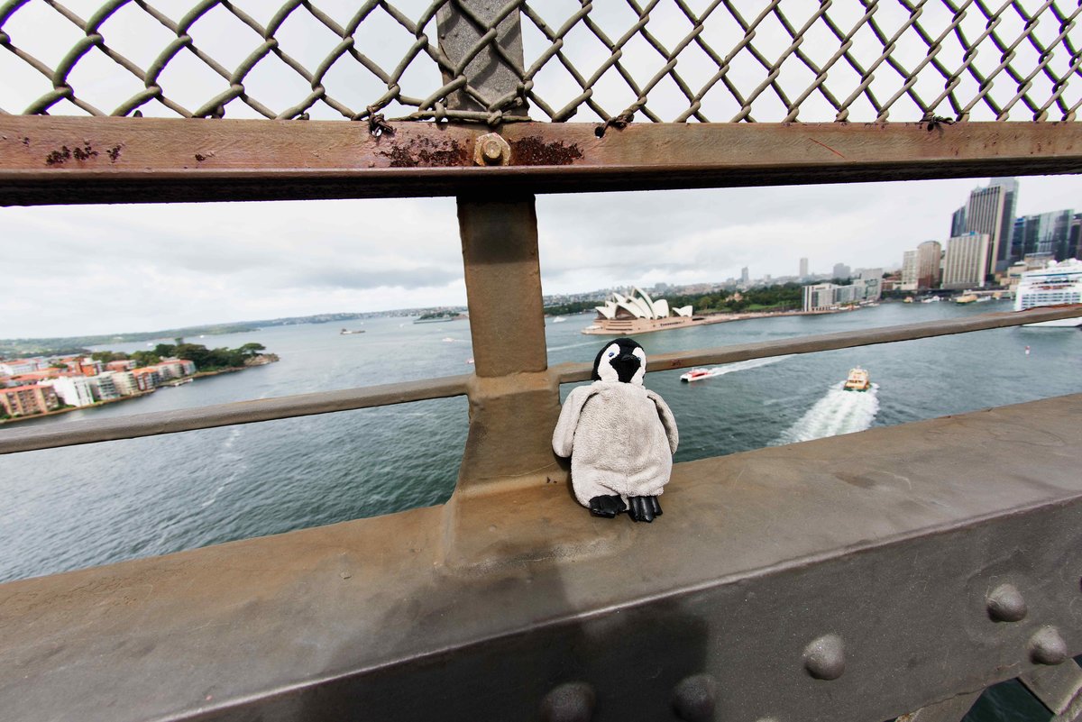 Lost resting on Sydney Harbour Bridge