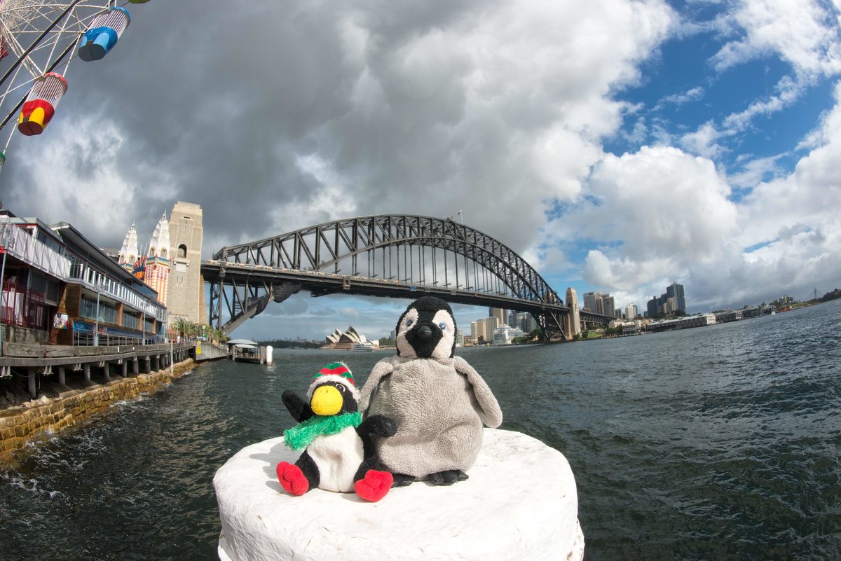 Lost & Found Sydney Harbour