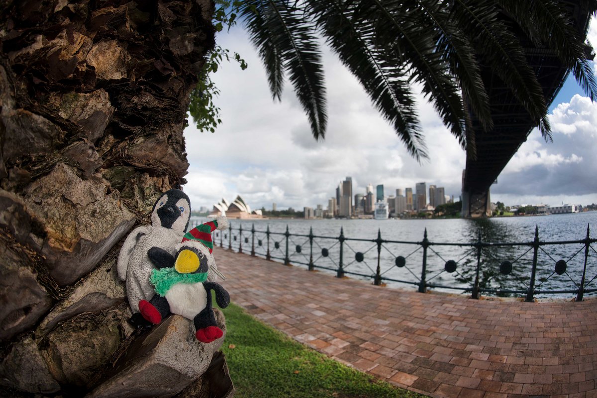 Lost & Found under Sydney Harbour Bridge