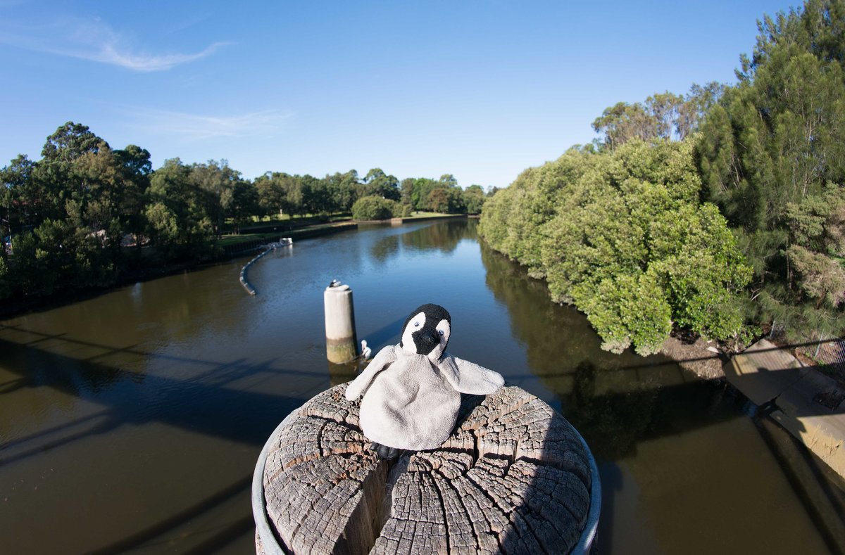 Lost above Cooks River, Sydney