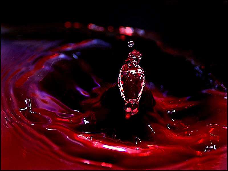 red water bird