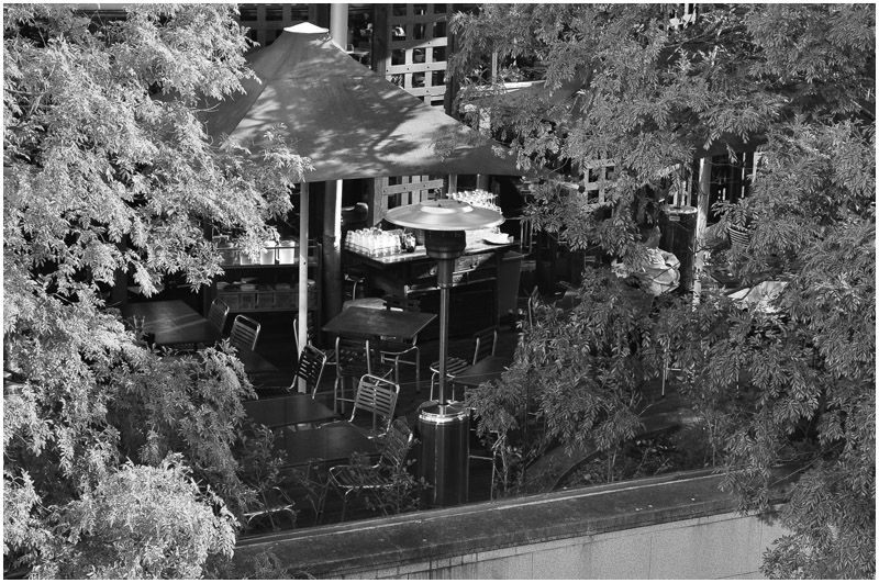 lunch garden