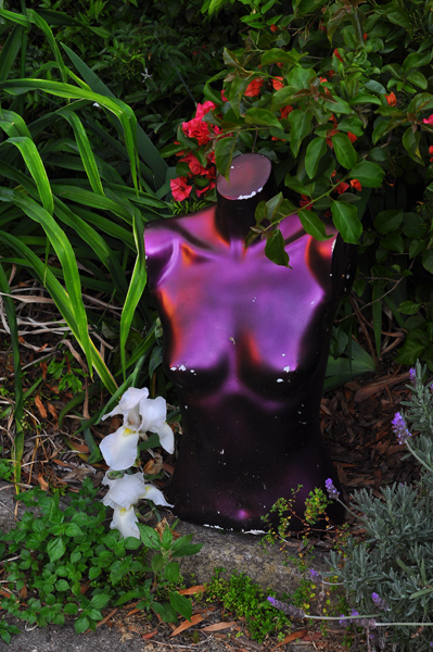 DSC_0675_bust_orig