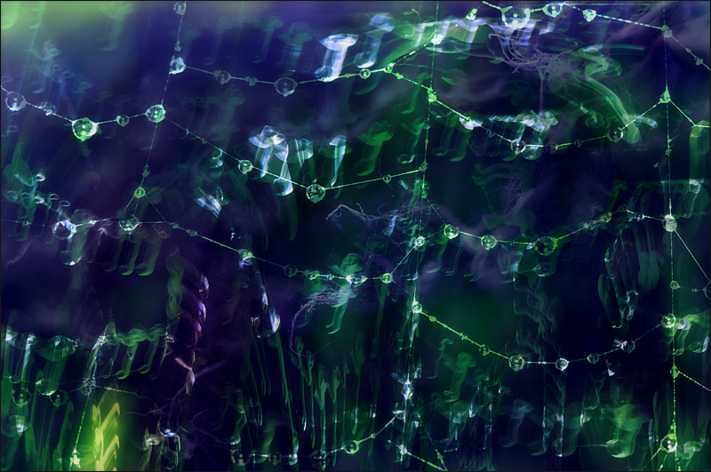 web symphony