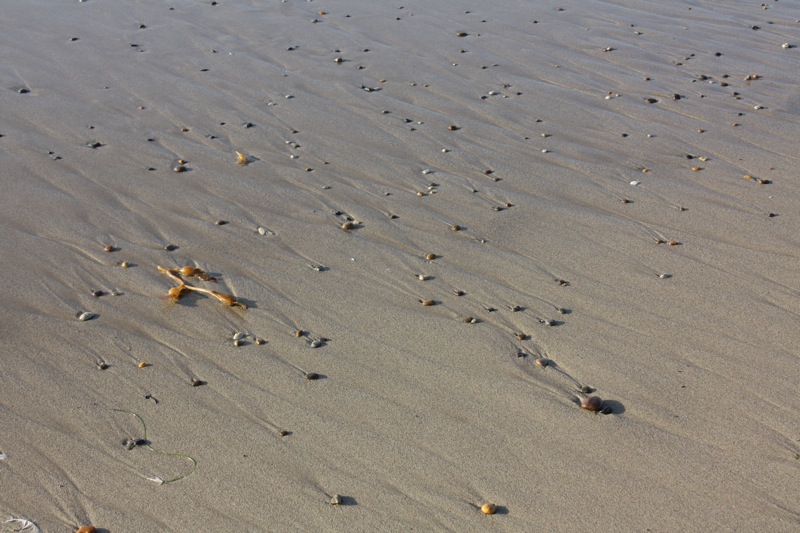 Beach11