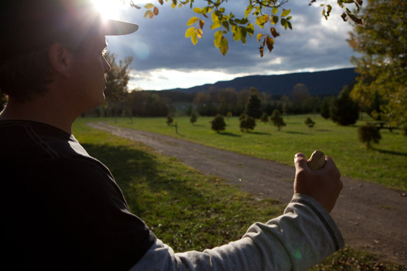 My Brother Admiring the View