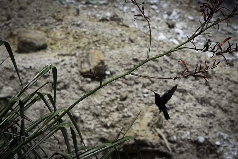 2011-08-23-993