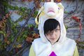 Unicorn