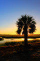 sunset Beaufort SC
