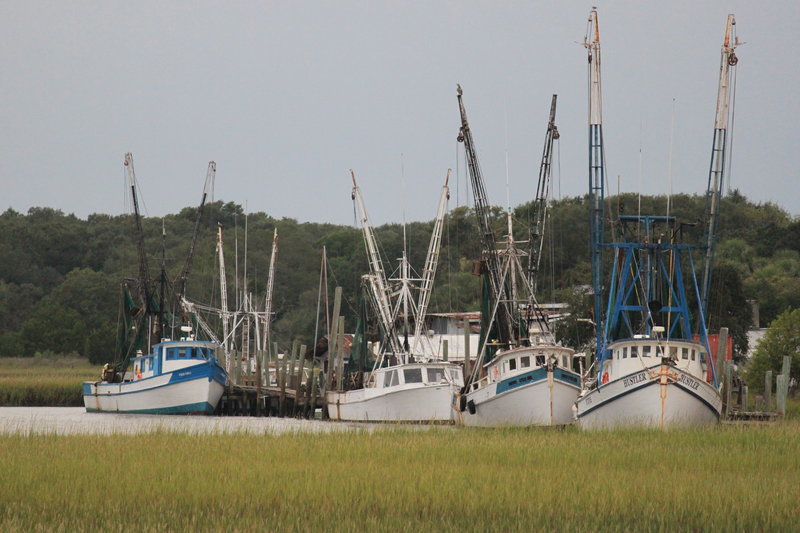 Shrimping Boats Beaufort SC