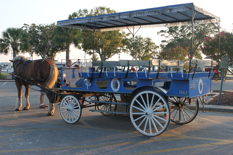 Carriage ride in Beaufort