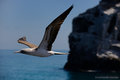 _DSC1349-L