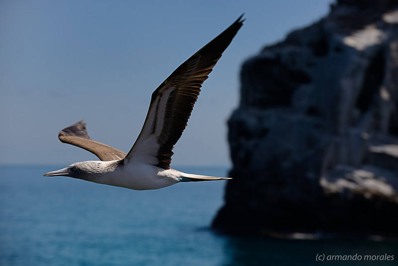 _DSC1349-L
