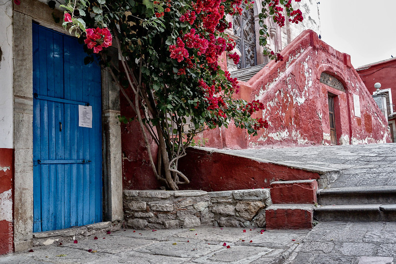 _DSC1976-Edit-Edit-L