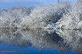 -6 river barrow Carlow