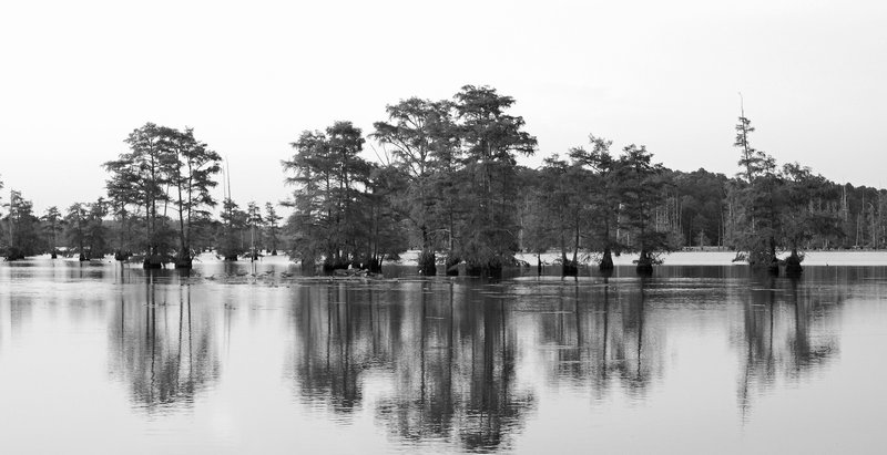In The Stillness
