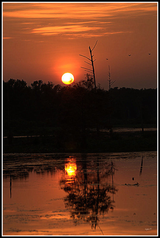 Cajun Sunset