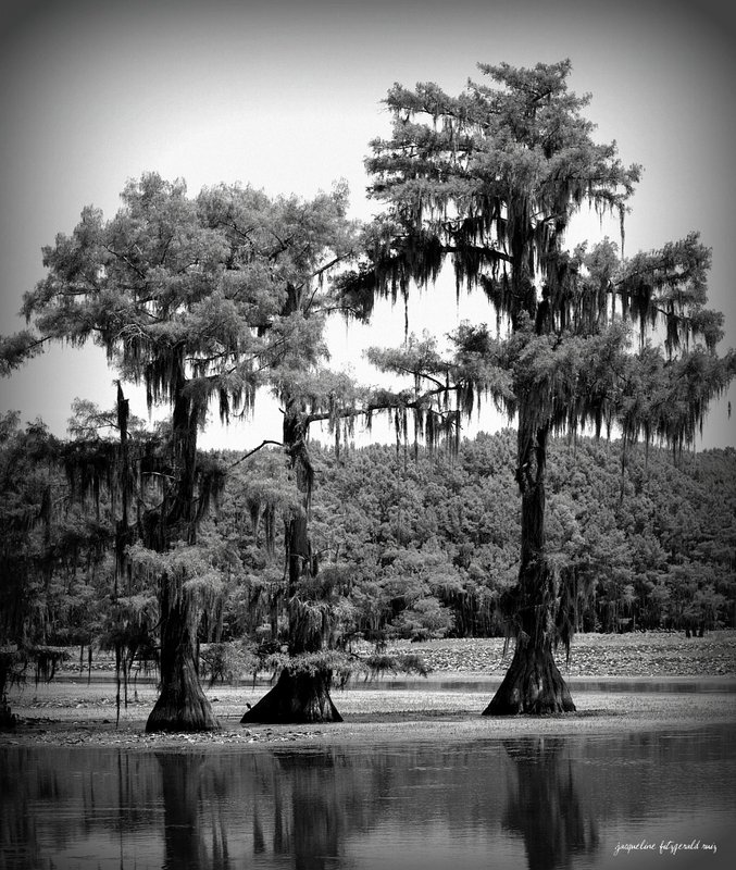 Bayou Blues