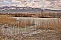 River in early spring.