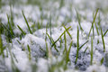 A light dusting.