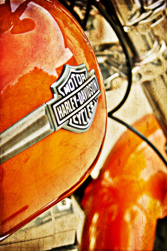 Brother-in-law's new Harley