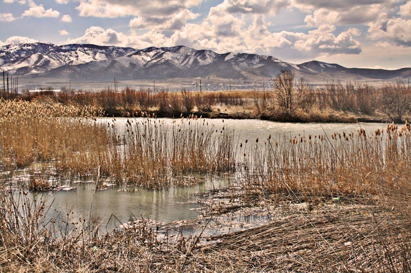River in early spring.
