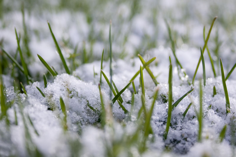 A light dusting.