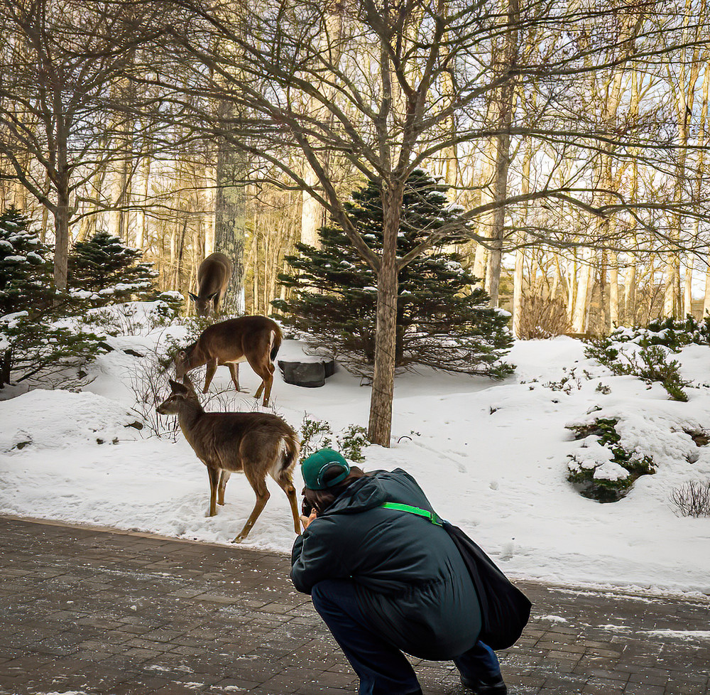 Photographing