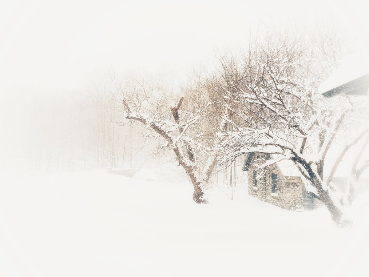 The Beauty of Winter