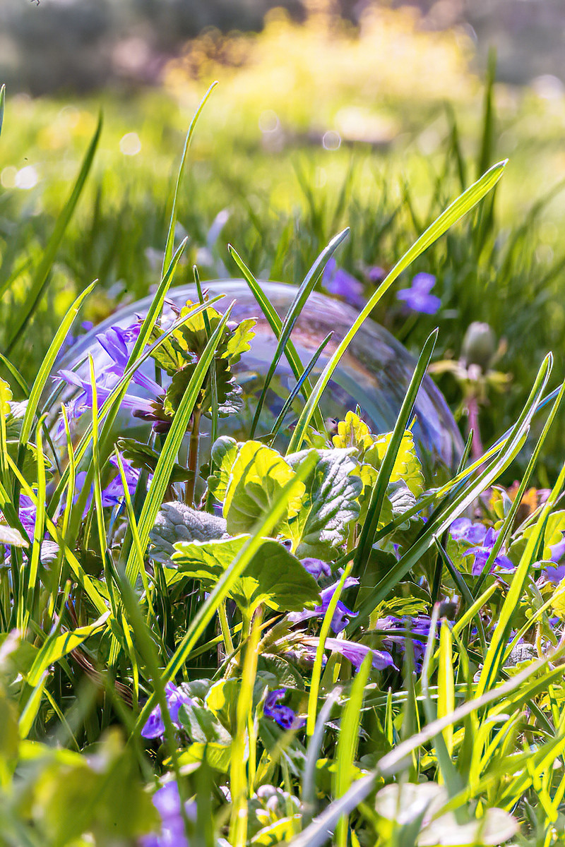 Imagine.. Life In A Bubble 