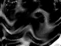 Abduct My Thoughts
