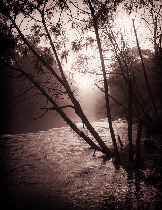 Fog on the River