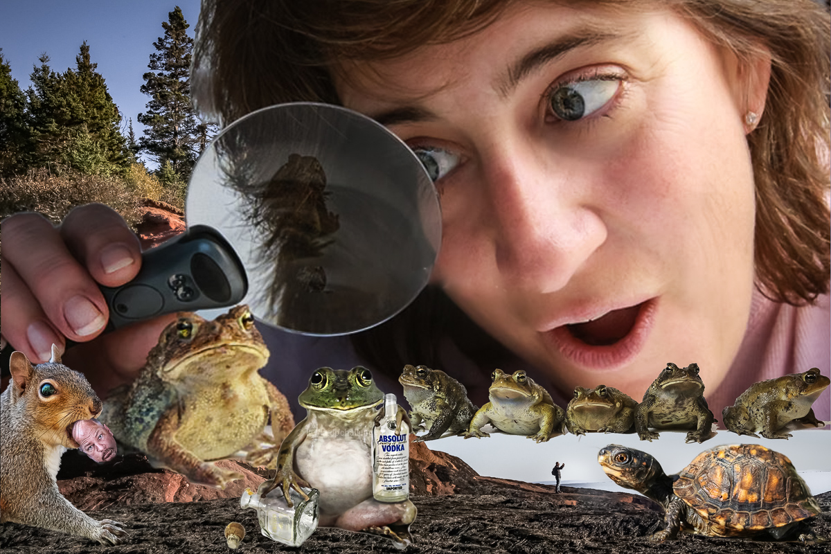 The Weird and Wonderful World of Lydia