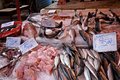 fish market in Sicily