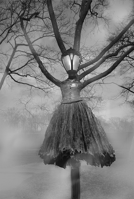 fog_0207