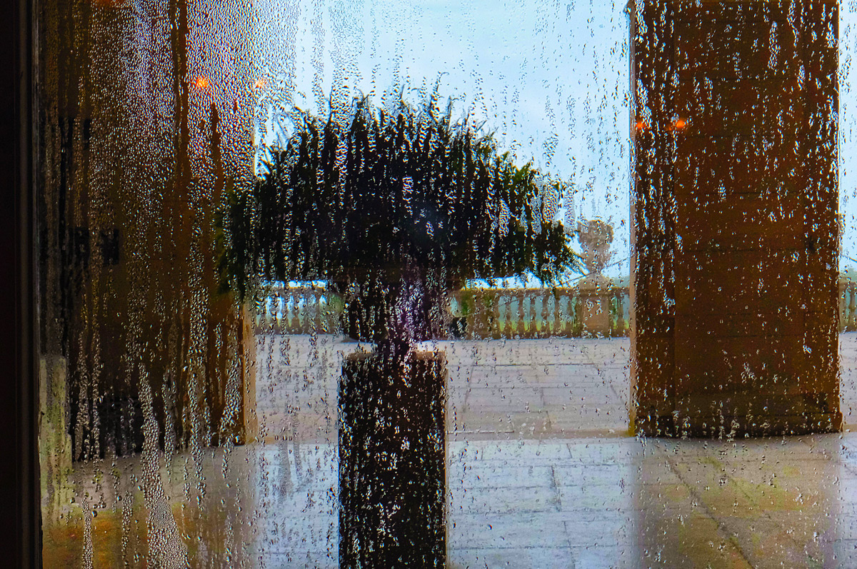 Intense-humidity.DSCF4717