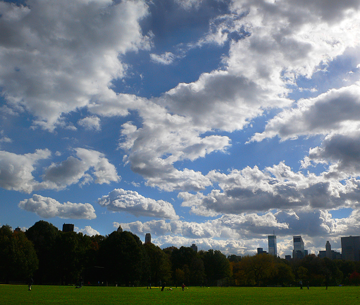 The-Great-lawn
