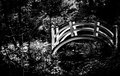 Forgotten-